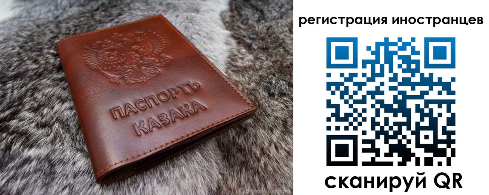 пропишу в квартире в Таганроге